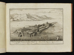 Prospect der Insul Borromaea in Lago Maggiore