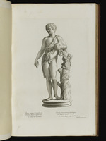 Statue des jungen Bacchus, Weintraubenbündel haltend