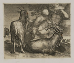 Schäferpaar mit Ziegen und Schafen