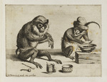 Zwei Affen, der linke einen Verband anlegend