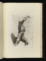Anatomische Studie eines Mannes mit erhobenem Arm