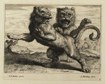 Zwei springende Löwen