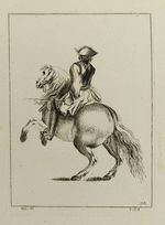 Soldat auf einem steigenden Pferd