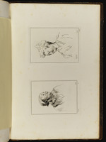 Oben: Büste einer jungen Frau, im Dreiviertelprofil nach links; unten: Büste eines Mannes