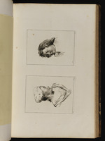 Oben: Büste eines Jungen im Halbprofil nach links; unten: Büste eines Mädchens mit Hut und Perlenkette, der Kopf im Profil nach rechts