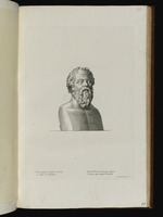 Büste des Socrates in Dreiviertelansicht