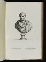 Büste eines römischen Konsul