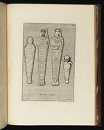 Vier Mumien, davon zwei mit Porträt und ein Kleinkind