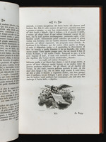Text zum Stich "Totila und seine Soldaten besuchen den Heiligen Benedikt", Seite 65